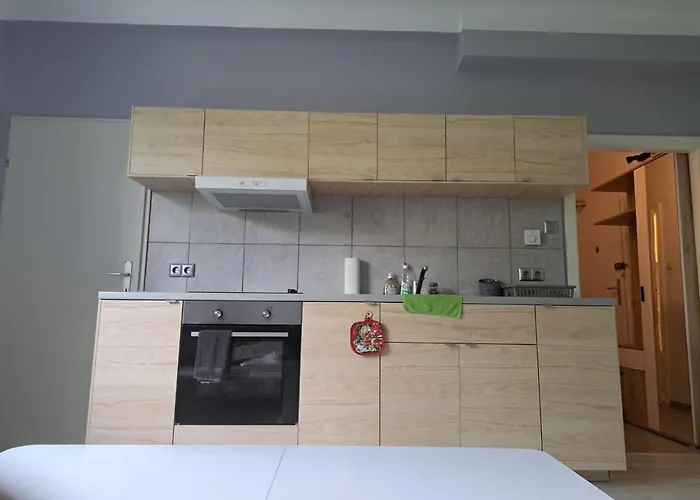 One-bedroom Flat Near Prater And Messe Prater Appartamento Vienna
